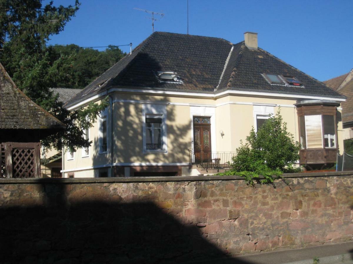 Appartement Et Gite Chez L'Habitant Guebwiller Exterior photo